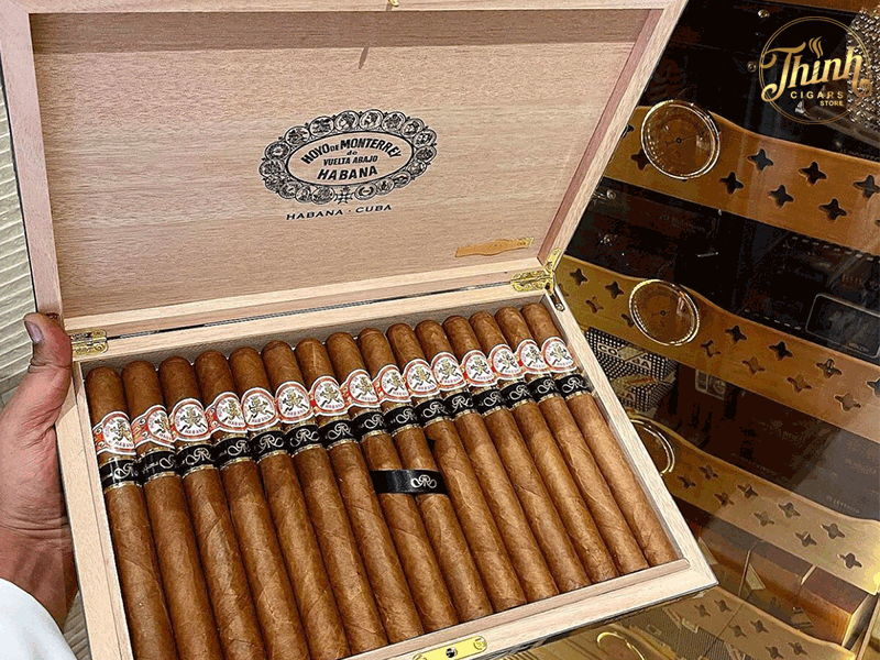 Xì gà Habanos mua đâu?